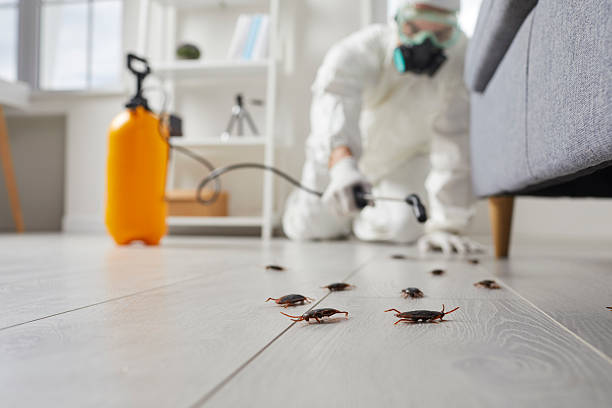 Commercial Kitchen Cockroach Control in Weatogue